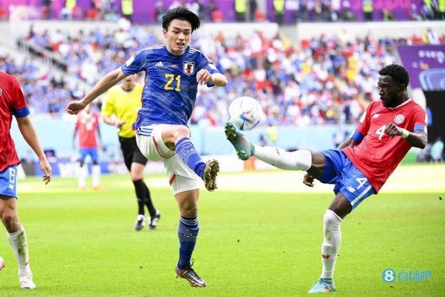 不仅扩大了 不仅扩大了