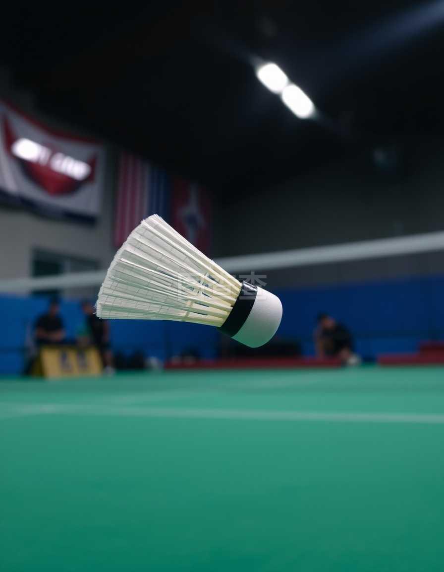 本季可用薪 本季可用薪